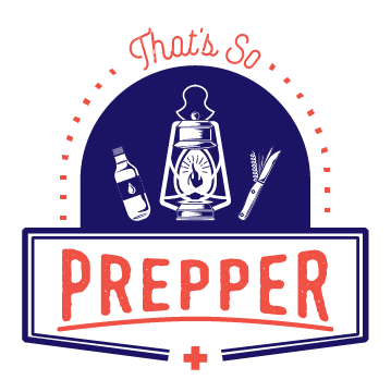 Disaster preparation logo