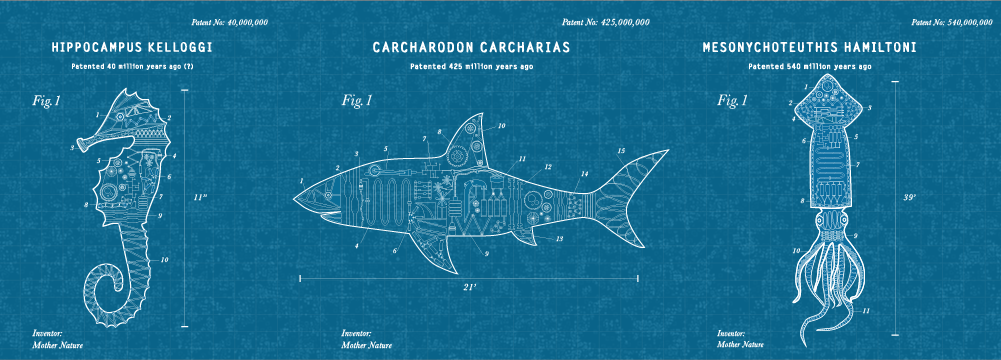 Shark, squid, and seahorse illustrated in the style of a blueprint